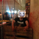 Illustration for article titled What If There Were Tons Of Cats Roaming E3 And No One Noticed?